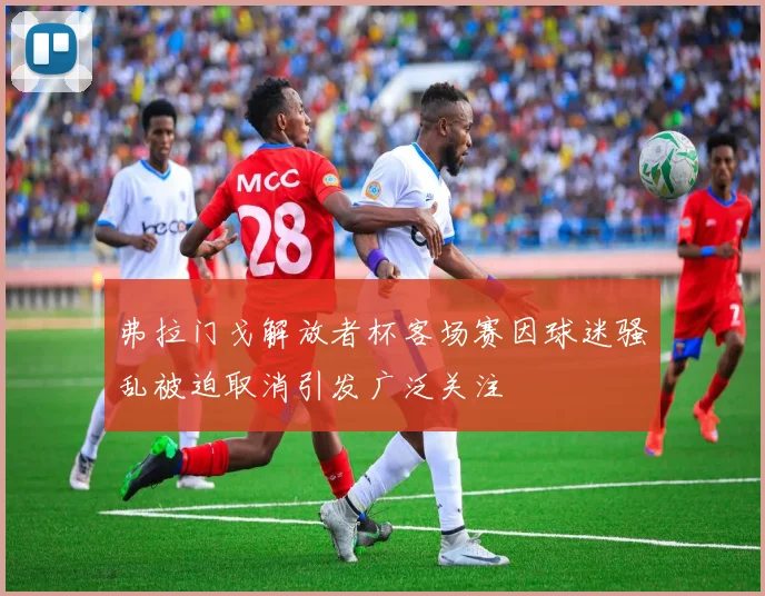 弗拉门戈解放者杯客场赛因球迷骚乱被迫取消引发广泛关注