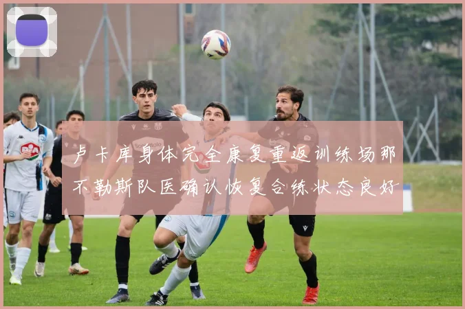 卢卡库身体完全康复重返训练场那不勒斯队医确认恢复合练状态良好